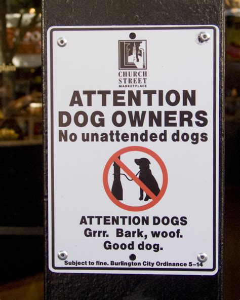 Attention Dog Owners | Burlington VT is a very dog-friendly … | Flickr