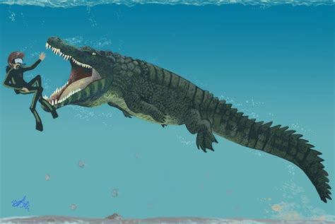 Diving with Deinosuchus by HodariNundu on DeviantArt in 2020 | Prehistoric creatures ...