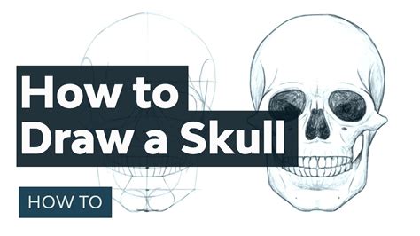 How to Draw a Skull - YouTube