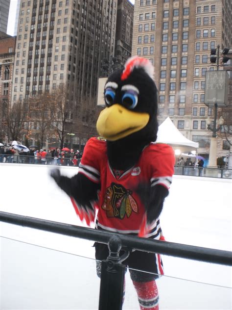 Chicago Blackhawks Mascot - Chicago Blackhawks Mascot WinCraft 11" x 17 ...