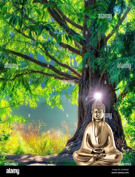 Spiritual background for meditation with buddha statue and tree Stock Photo - Alamy