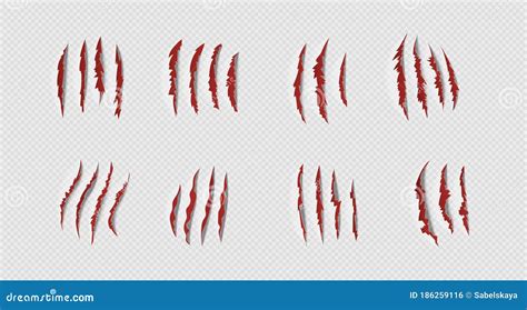 A Set of Claw Marks. Realistic Red Scratches. Vector Illustration on a Transparent Background ...