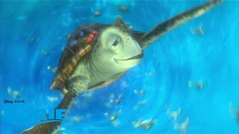 Best of Pixar: Unterwegs mit den Schildkröten | FINDET NEMO | Disney+ - YouTube