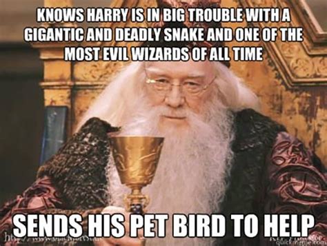 14 Hilarious Dumbledore Memes That Will Make Your Sides Hurt