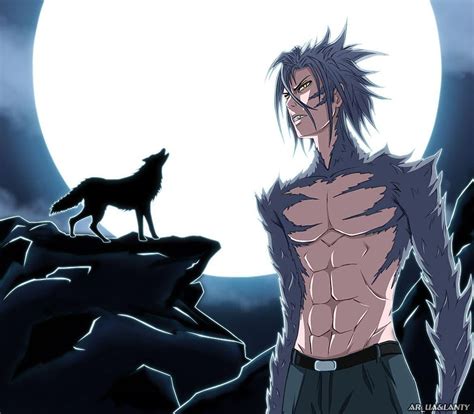 Werewolf anime HD wallpaper | Pxfuel