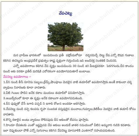 TELUGU WEB WORLD: VEPA CHETTU - NEEM TREE - BRIEF ARTICLE ABOUT NEEM ...