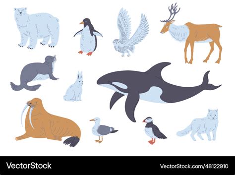 Arctic or polar circle animals and birds set flat Vector Image