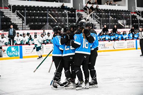 Toronto PWHL Roster Overview - by Anna Hudak - Prism Hockey