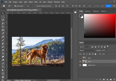 Photoshop Basics: Getting to Know the Photoshop Interface