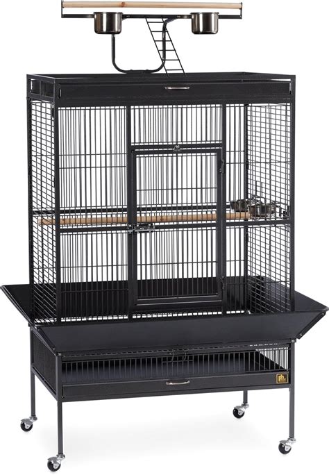 The 13 Best Parrot Cages Buying Guide & Comparison