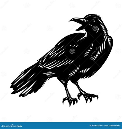 Black Raven Isolated on White Stock Vector - Illustration of cartoon, animal: 124655837