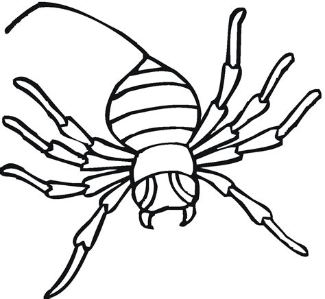 Free Printable Spider Coloring Pages For Kids