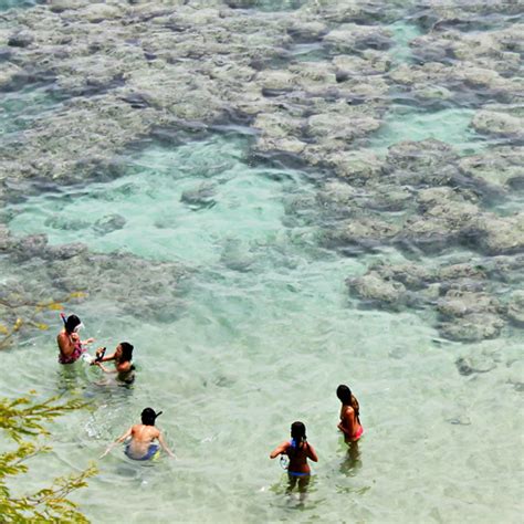 Snorkeling at Hanauma Bay, Hawaii | Editing Luke