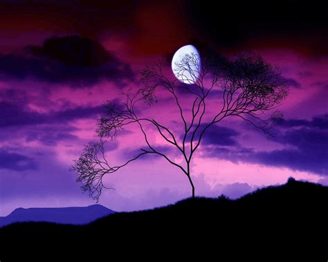 dark moon | Beautiful moon, Purple sky, Beautiful nature