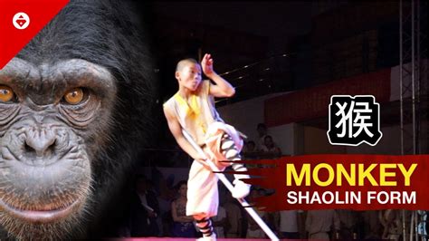 Shaolin MONKEY Style by WARRIOR Monk | BEST KUNG FU - YouTube