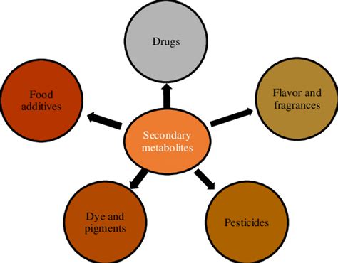 Functions of secondary metabolites produced by plants. | Download ...