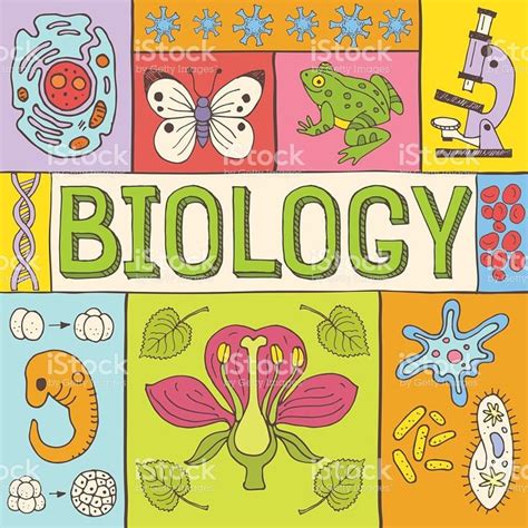 Biology poster royalty-free stock vector art | Biology poster, Biology art, Biology drawing