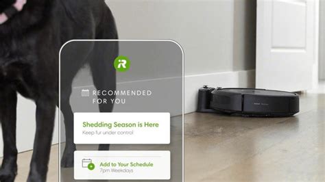 iRobot Roomba i3+ Review: Worth the Investment? Our Honest Opinion - Robot Chores