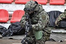 Spetsnaz - Wikipedia