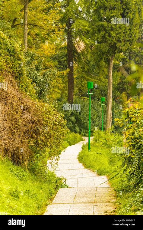 path in park in autumn Stock Photo - Alamy