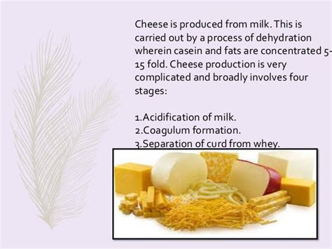 Fermented dairy foods