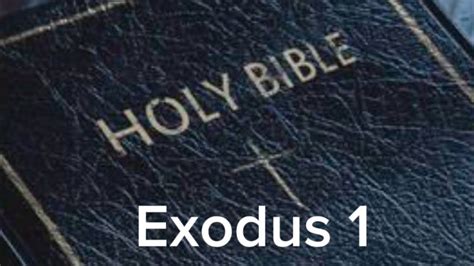 Exodus 1 (NIV) The Audio Bible - YouTube