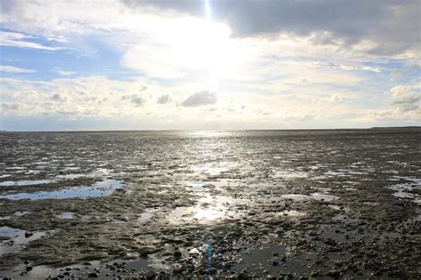 Photo of the Beach in Le Crotoy, Normandy, France Stock Photo - Image of notable, seine: 250280188