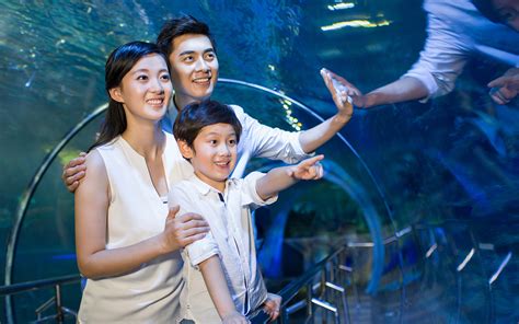 Book Coex Aquarium Tickets | Save Up to 30%