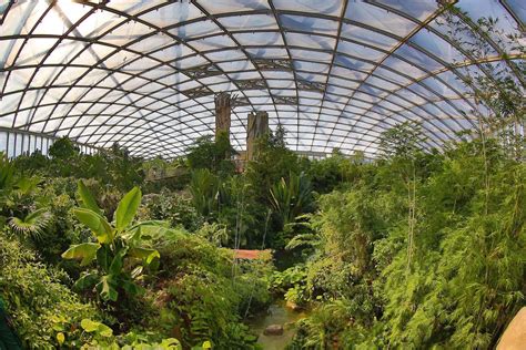 Zoo in Leipzig: Tropical feeling in Gondwanaland - funkyGERMANY