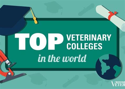 Top 10 Veterinary Colleges Announced | Bovine Veterinarian