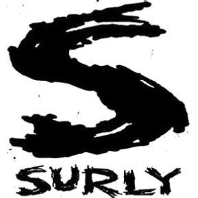 23 Reasons to/NOT to Buy Surly Disc Trucker (Jul 2022) | BikeRide