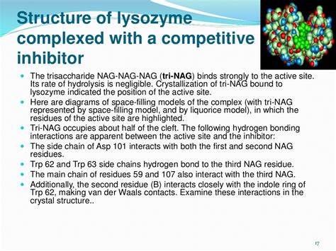 Lysozyme