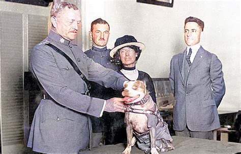 Sergeant Stubby: The Most Decorated War Dog of WWI | War History Online