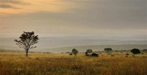 Waterberg Savannah Biosphere Reserve, South Africa - Journeys by Design