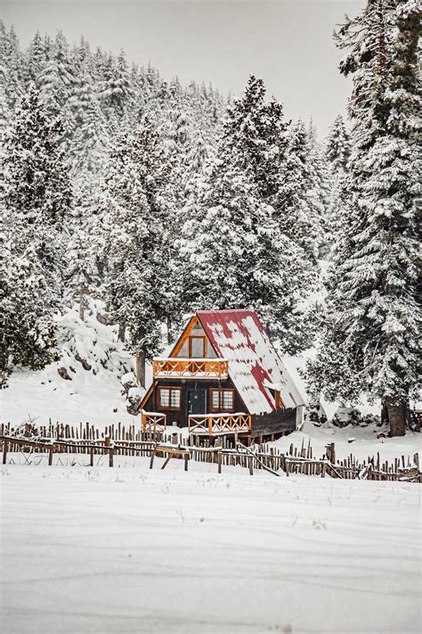 Wooden Cabin in Winter · Free Stock Photo