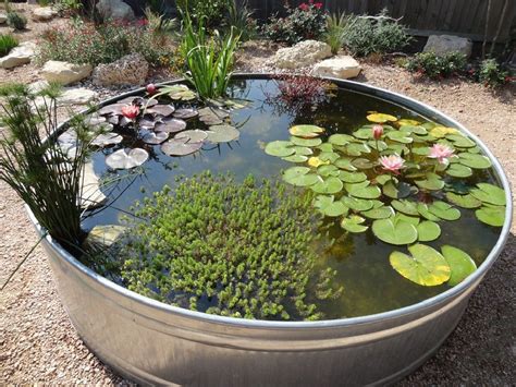 25+ Best Beautiful Small Koi Pond Ideas ideas https://pistoncars.com/25 ...