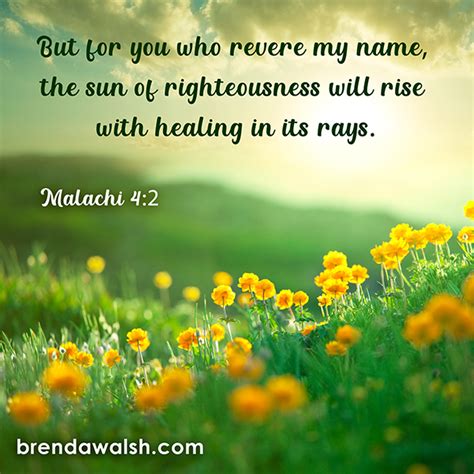 Sun of Righteousness - Brenda Walsh Scripture Images