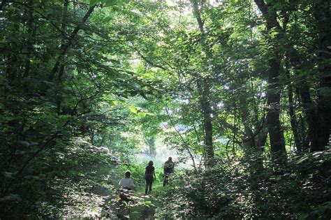 28 Hikes in Greater Cincinnati That'll Make You Feel One With Nature