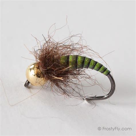 Tungsten Peacock Quill Caddis Nymph - FrostyFly