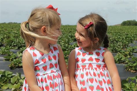 Strawberry Dress strawberry picking outfit summer berry | Etsy