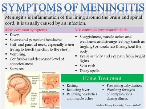 Pin by t d on nursing in 2020 | Nursing tips, Meningitis, Neonatal nurse