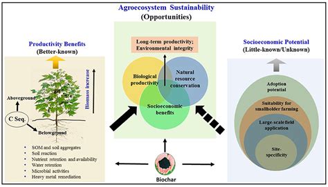 Frontiers | Biochar in the Agroecosystem–Climate-Change–Sustainability ...