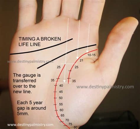 Life Line Timeline Guide in Palmistry - Destiny Palmistry