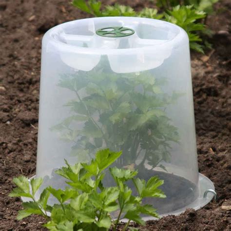 Cloches & Cold Frames - Garden Supplies by Harrod Horticultural