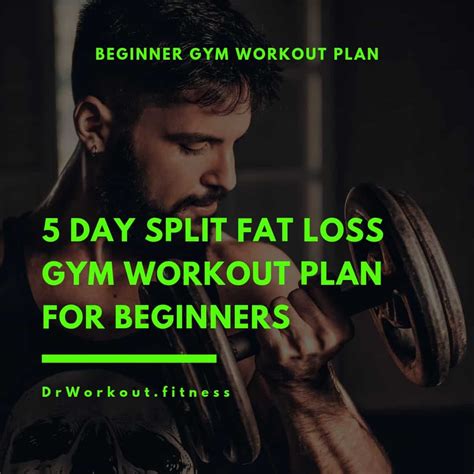 Fat Loss Gym Workout Plan for Beginners | Dr Workout