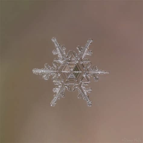 How to Shoot Macro Snowflake Photos at Home | PetaPixel