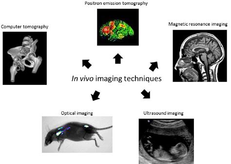 Main in vivo imaging techniques. | Download Scientific Diagram