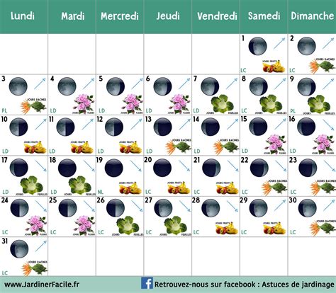 Calendrier 2023 Lunaire Jardinage Get Calendrier 2023 Update Rezfoods | Porn Sex Picture