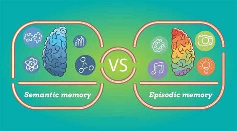 Episodic Memory and Semantic Memory | Facts, Difference & Types