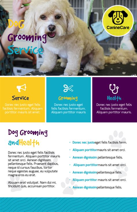 Playful Dog Grooming Flyer Template | MyCreativeShop